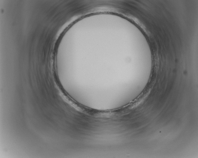 X0000079341134200612151901