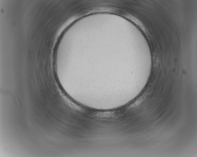 X0000079341135200612151901