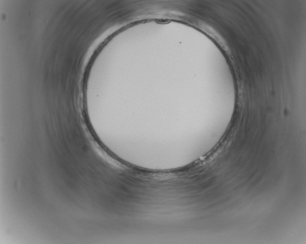 X0000079341136200612151901