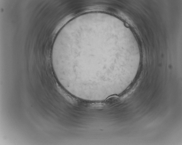 X0000079341137200612151901