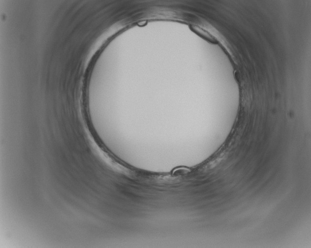 X0000079341139200612151901