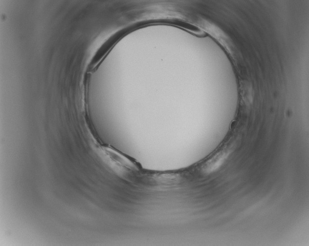 X0000079341140200612151901