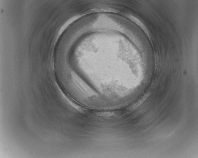 X0000079341141200612151901