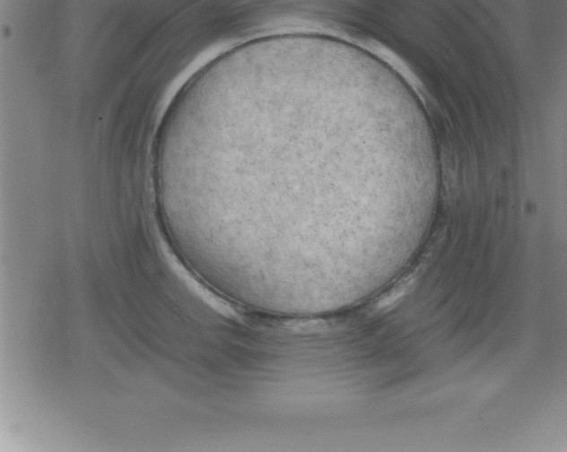 X0000079341142200612151901