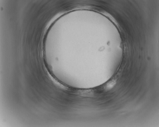 X0000079341143200612151901