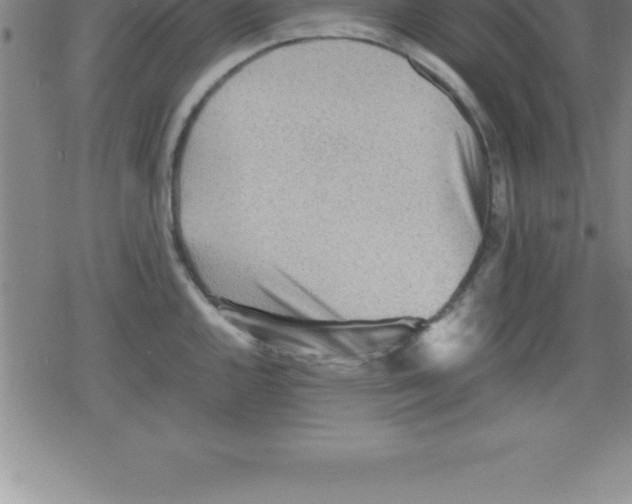 X0000079341144200612151901