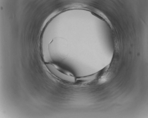 X0000079341146200612151901