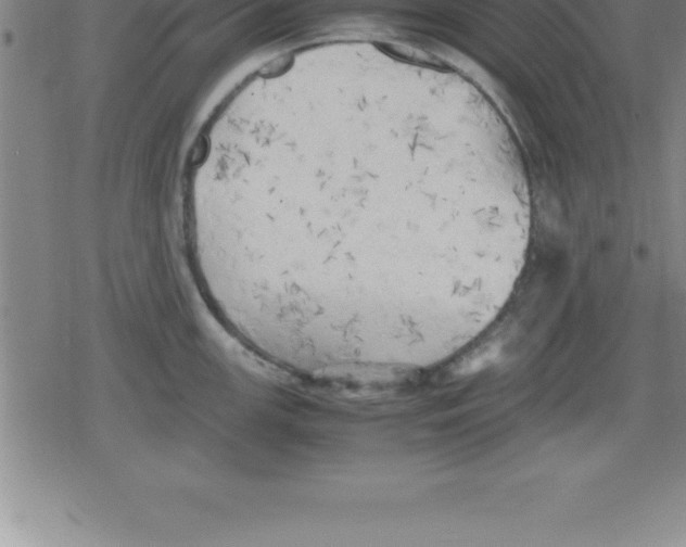 X0000079341147200612151901