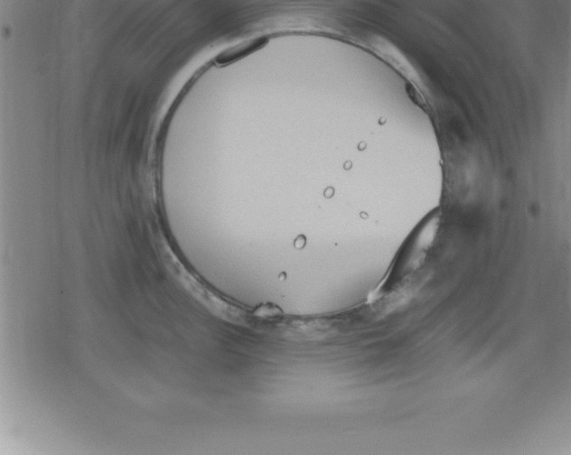 X0000079341148200612151901