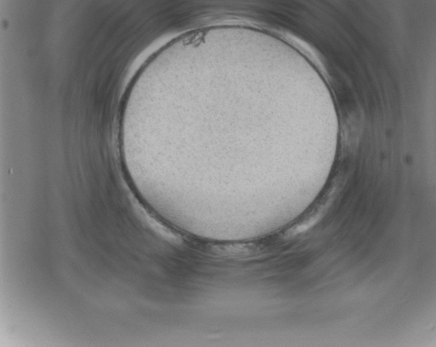 X0000079341149200612151901