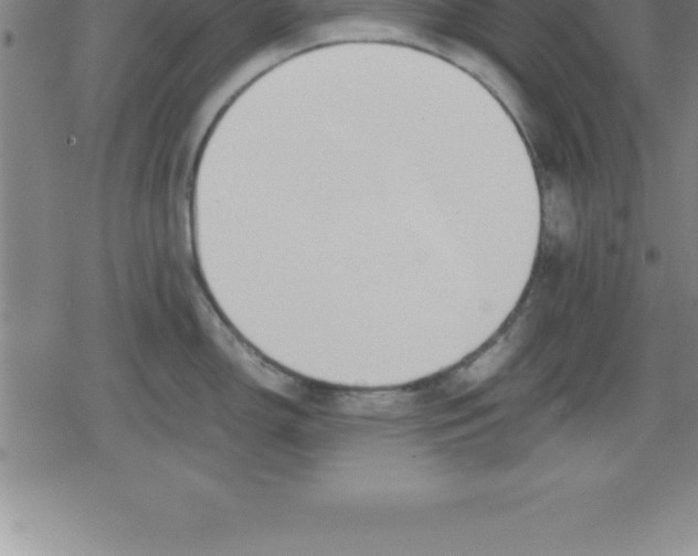 X0000079341150200612151901