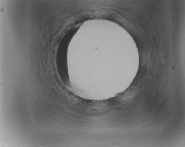 X0000079341153200612151901