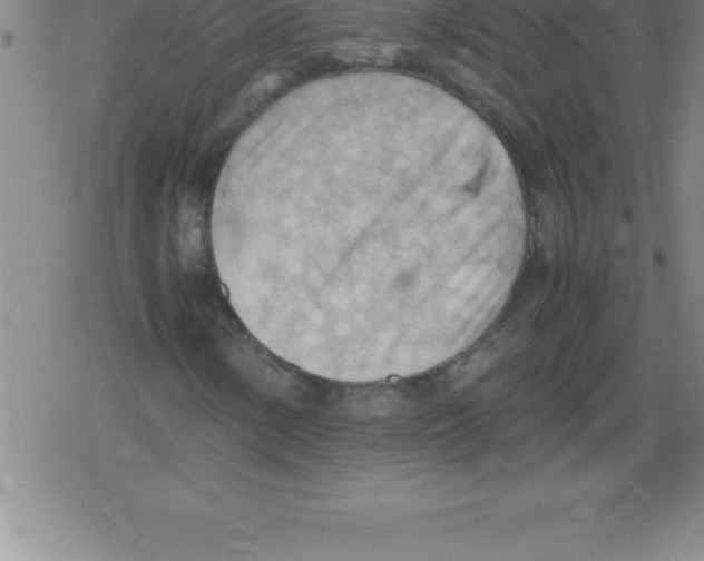 X0000079341154200612151900