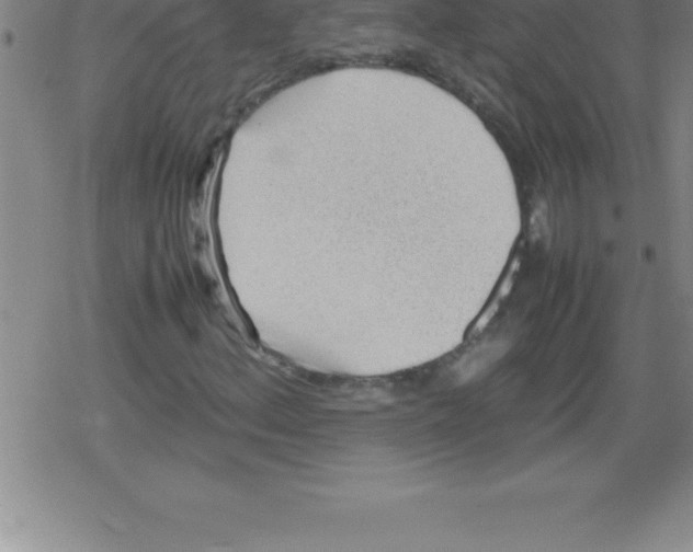 X0000079341156200612151900