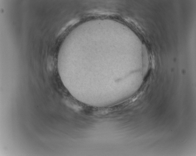 X0000079341157200612151900