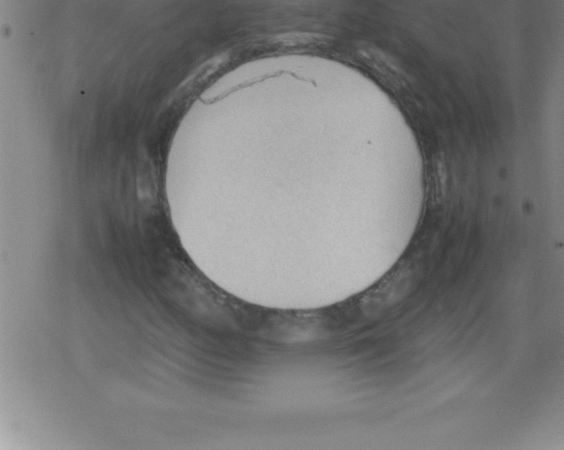 X0000079341158200612151900