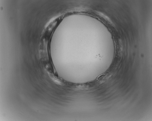 X0000079341160200612151900