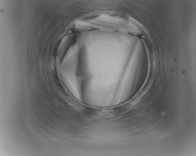 X0000079341161200612151900