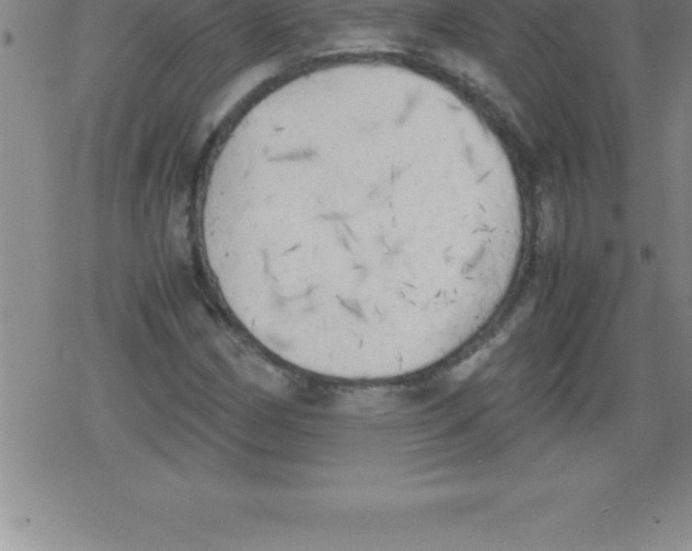 X0000079341162200612151900