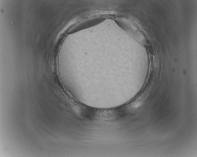 X0000079341165200612151900