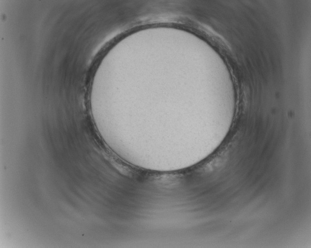 X0000079341166200612151900