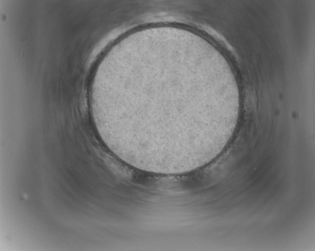 X0000079341167200612151900