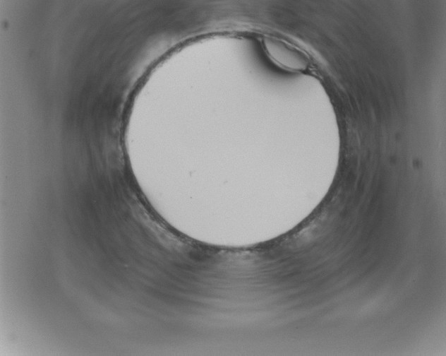 X0000079341168200612151900