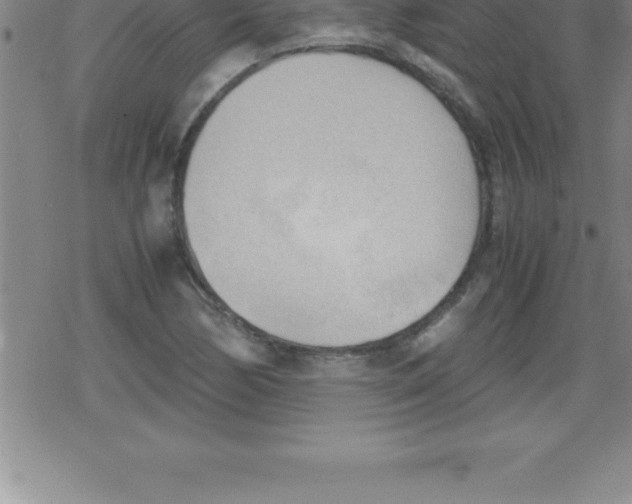 X0000079341170200612151900