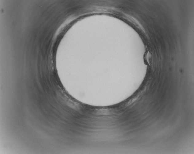 X0000079341172200612151900