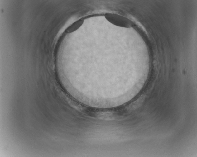 X0000079341173200612151900