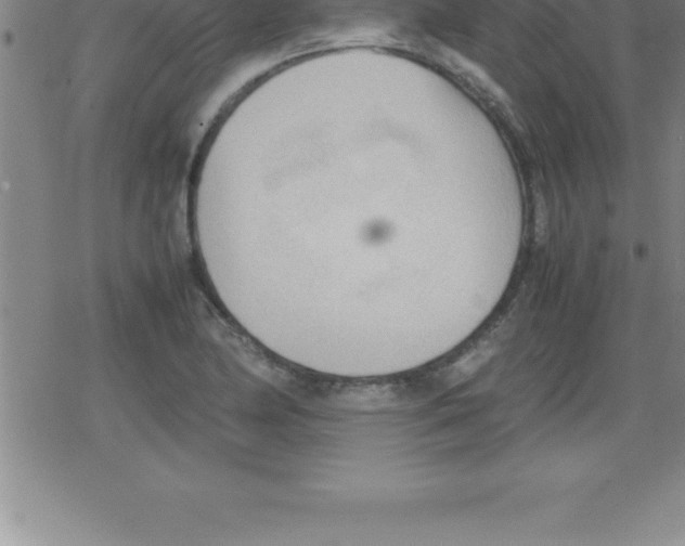 X0000079341174200612151900