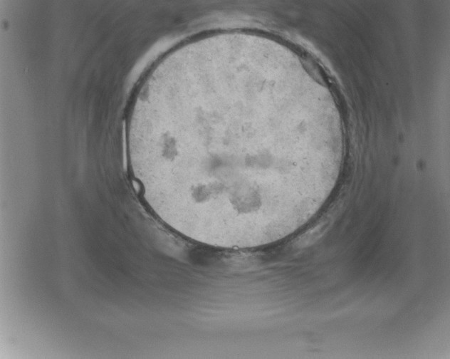 X0000079341175200612151900