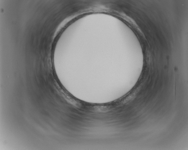 X0000079341176200612151900