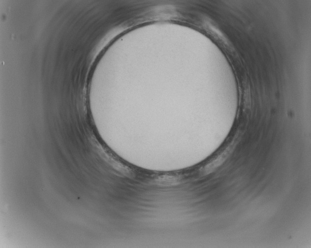 X0000079341178200612151900