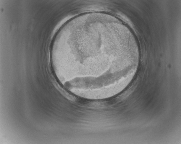 X0000079341179200612151900