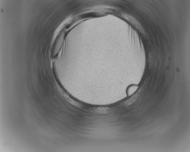 X0000079341180200612151900