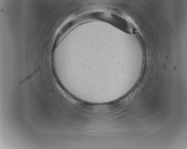 X0000079341181200612151900