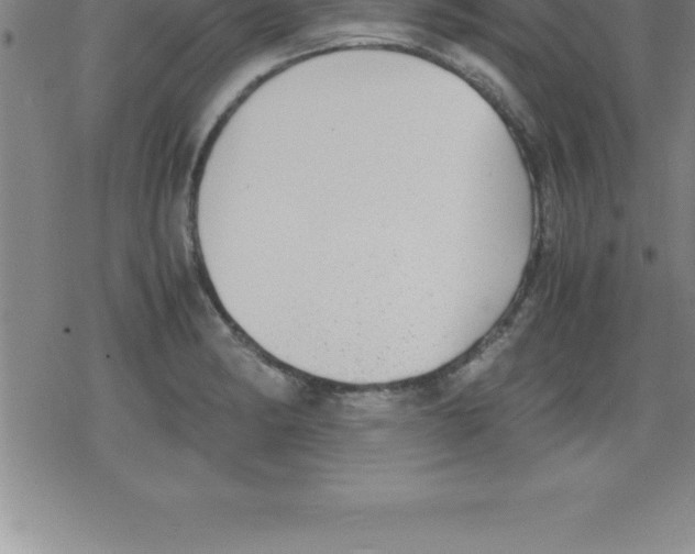 X0000079341182200612151900