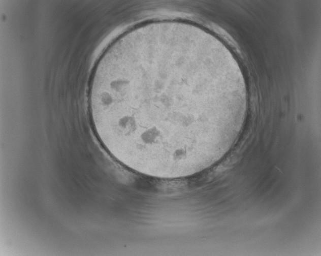 X0000079341183200612151900