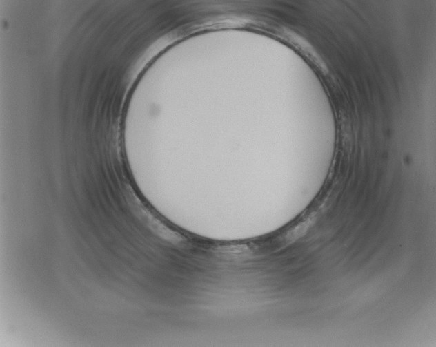 X0000079341186200612151900