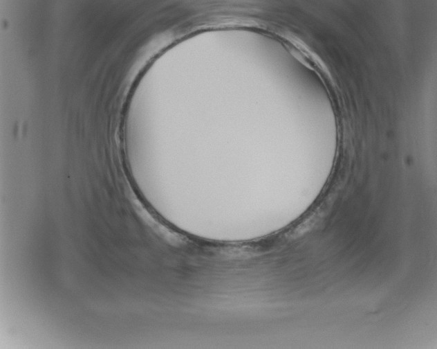 X0000079341189200612151900