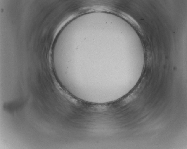 X0000079341190200612151900