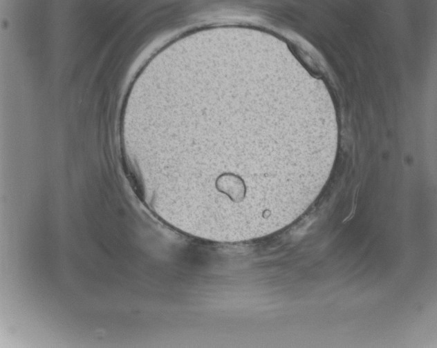 X0000079341191200612151900