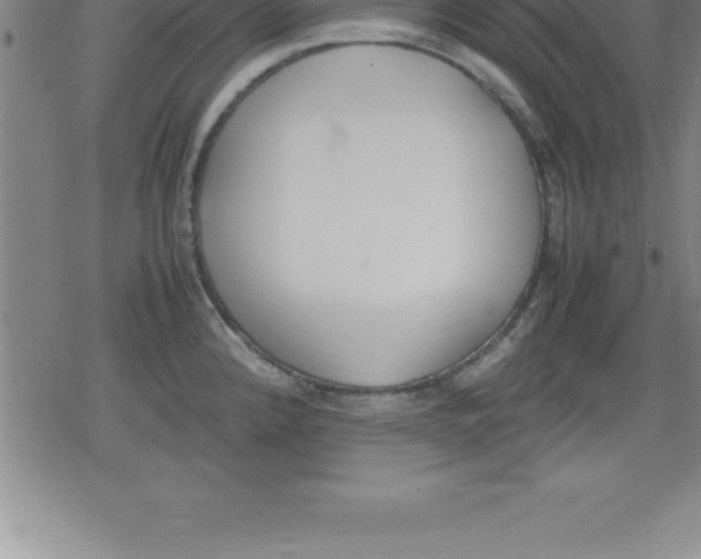 X0000079341192200612151900