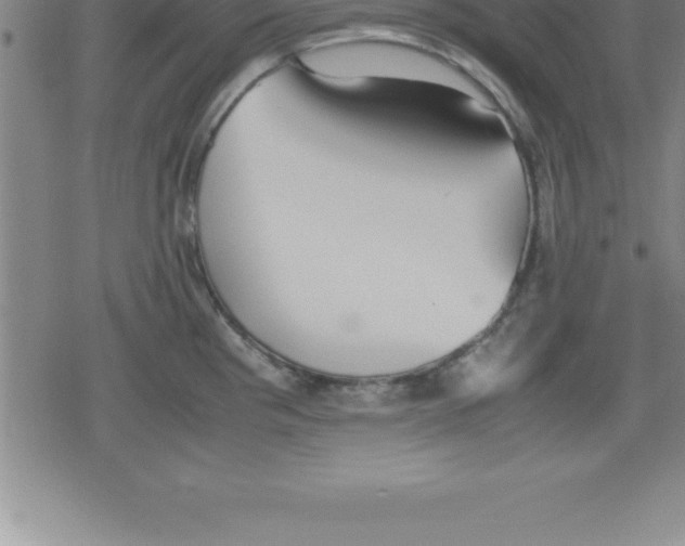 X0000079341193200612151900