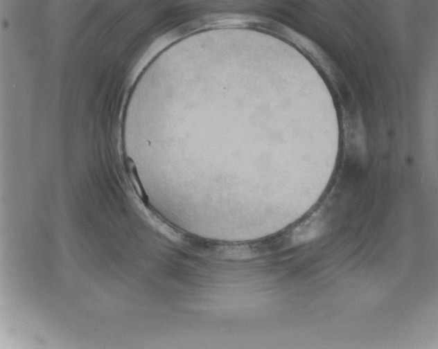 X0000079341194200612151900