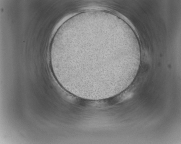 X0000079341195200612151900