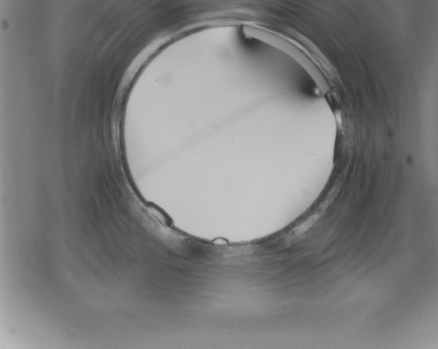 X0000079341196200612151900