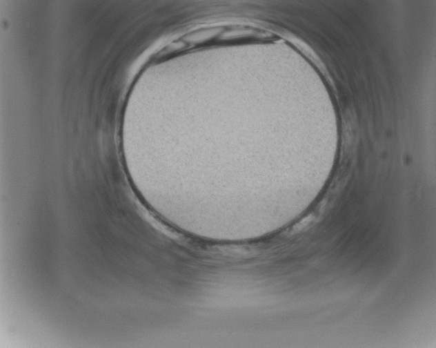 X0000079341197200612151900