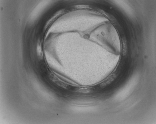 X0000079341198200612151900